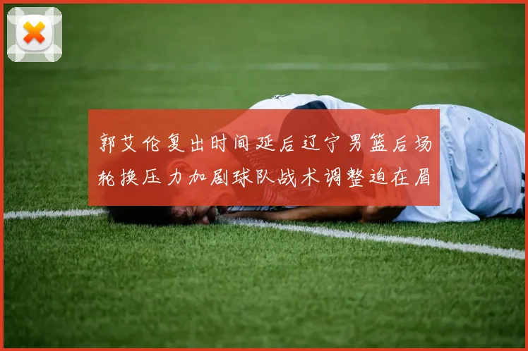 郭艾伦复出时间延后辽宁男篮后场轮换压力加剧球队战术调整迫在眉睫