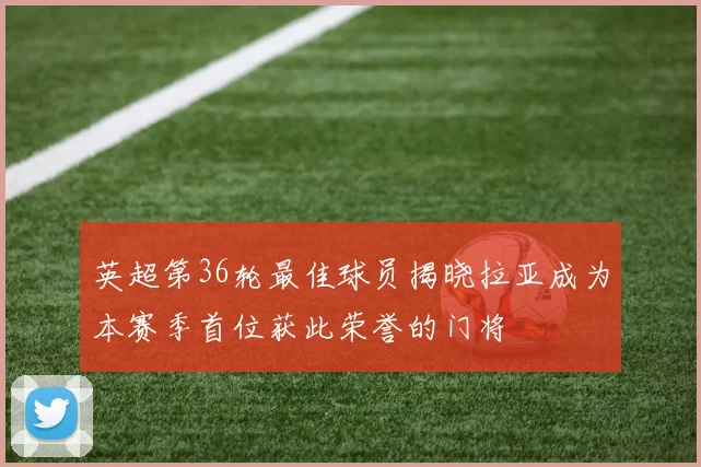 英超第36轮最佳球员揭晓拉亚成为本赛季首位获此荣誉的门将